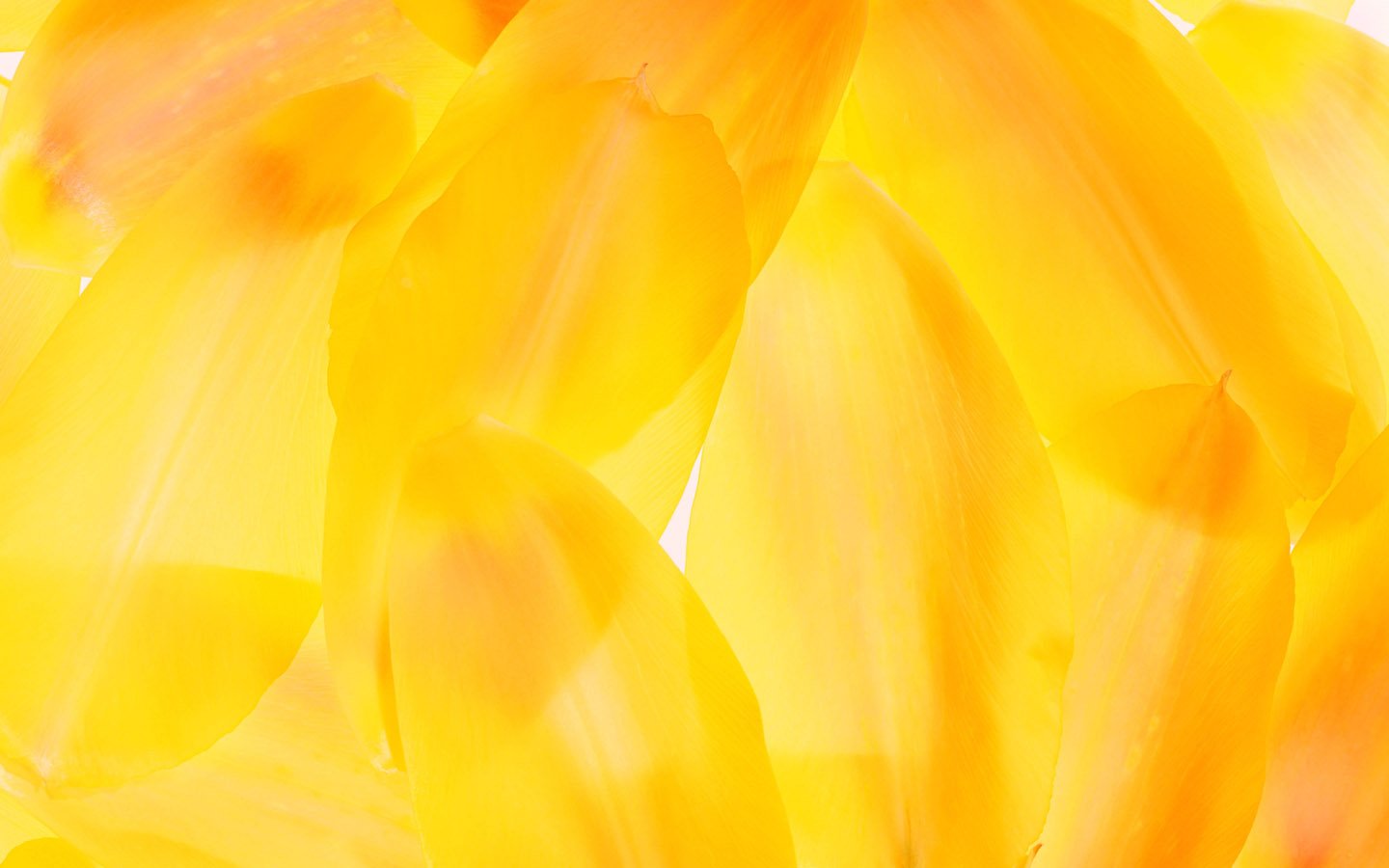 Creative Background Wallpaper Images (6)