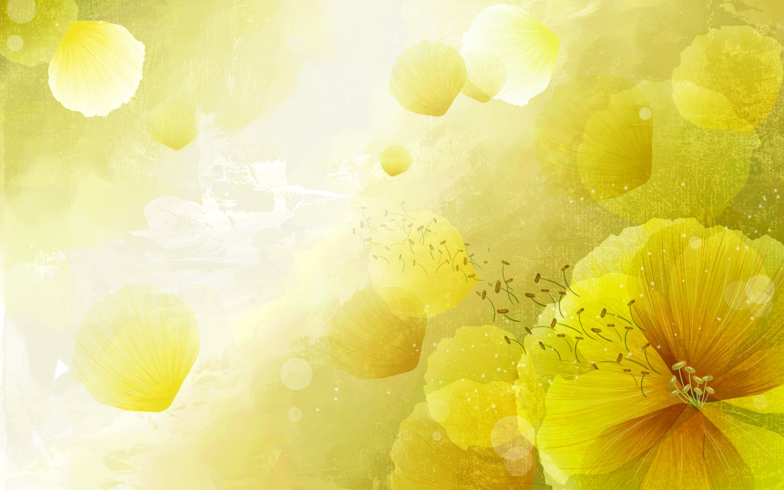 Creative Background Wallpaper Images (24)